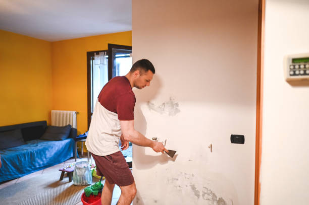Best Attic Mold Remediation in Forestbrook, SC